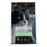 wellness gato adulto